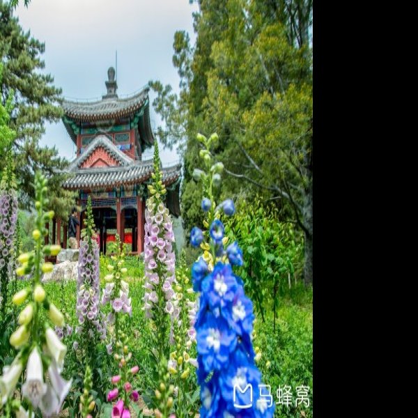 北京香山公园 - 图片8