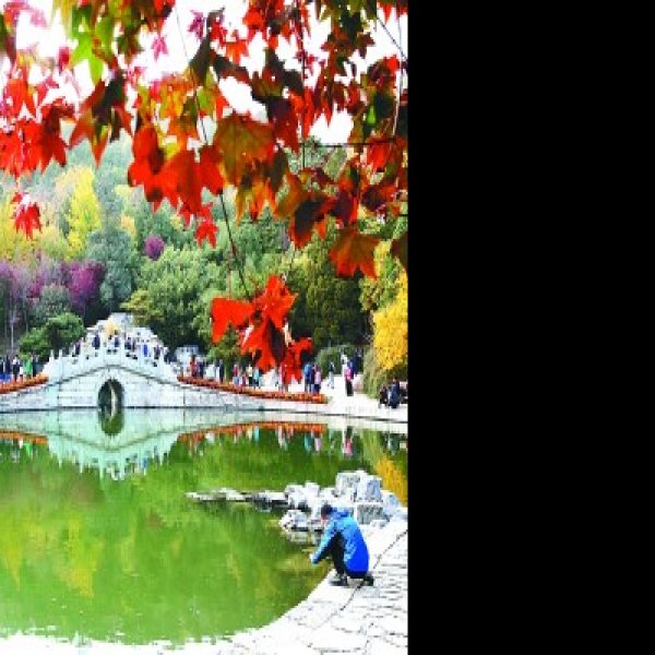 北京香山公园 - 图片9