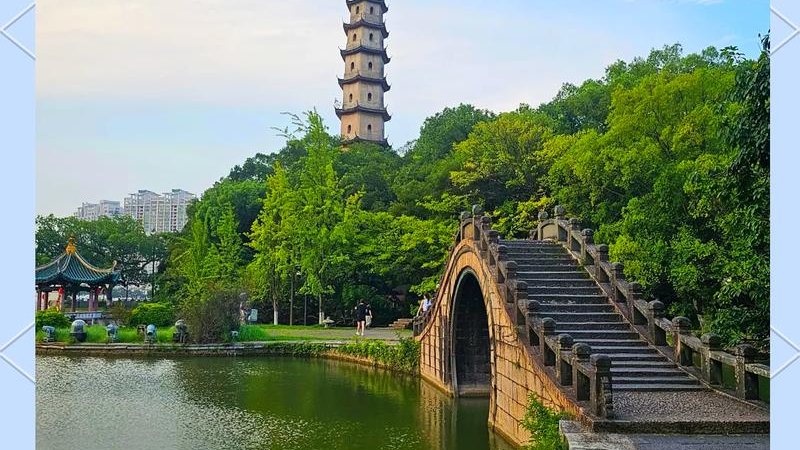 温州江心屿 - 图片4