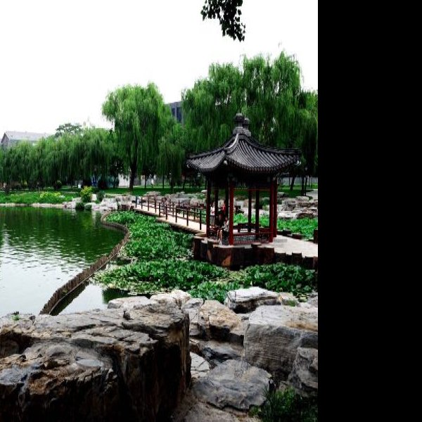 北京陶然亭公园 - 图片1