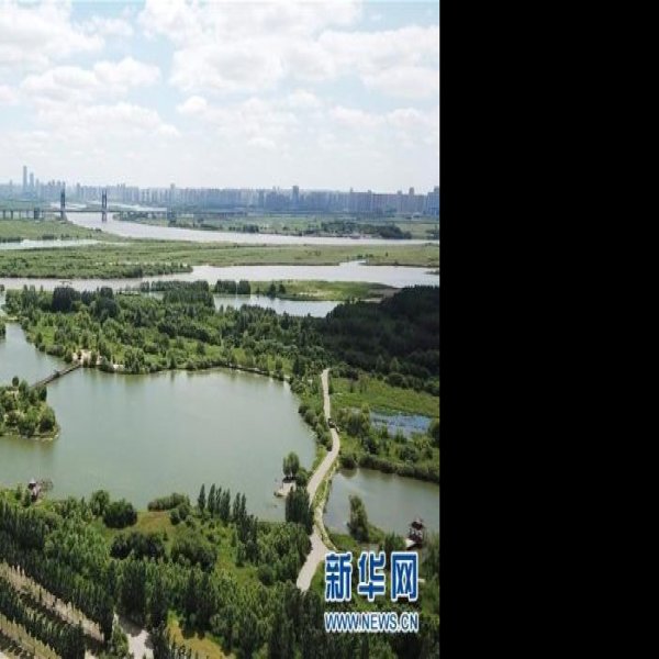 黑龙江太阳岛 - 图片7