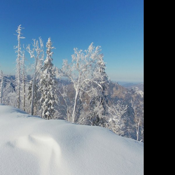 黑龙江雪乡国家森林公园 - 图片10