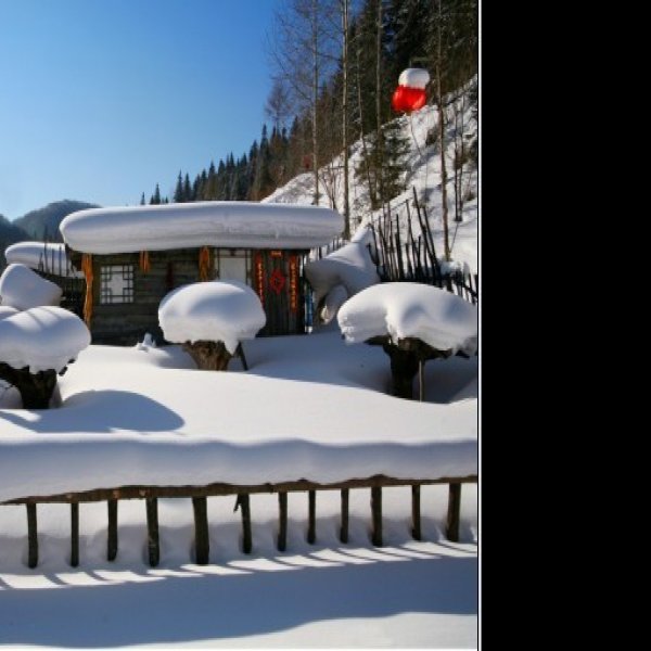 黑龙江雪乡国家森林公园 - 图片2