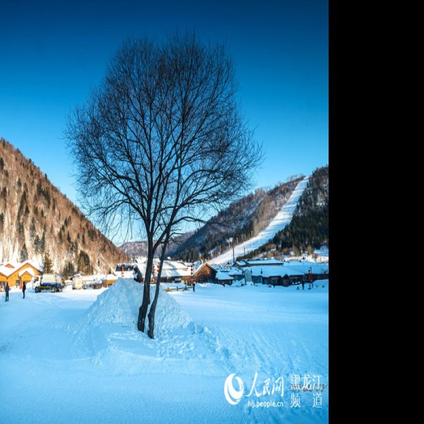 黑龙江雪乡国家森林公园 - 图片5