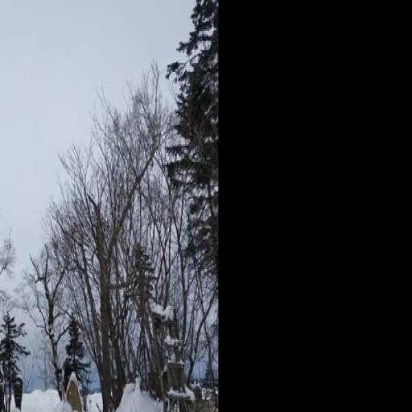 黑龙江雪乡国家森林公园 - 图片7