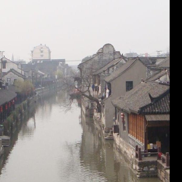 上海枫泾古镇 - 图片8