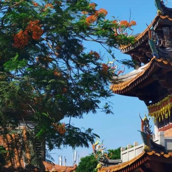 泉州天后宫 - 图片3
