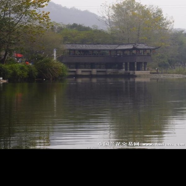 丽水古堰画乡 - 图片2