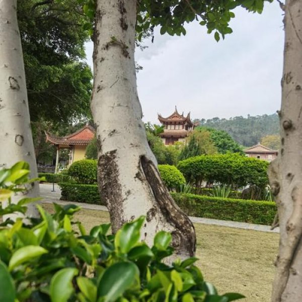 莆田广化寺 - 图片5