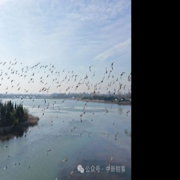 阜阳颍州西湖 - 图片4