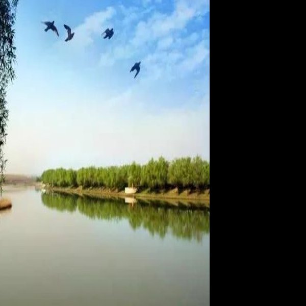 阜阳颍州西湖 - 图片9