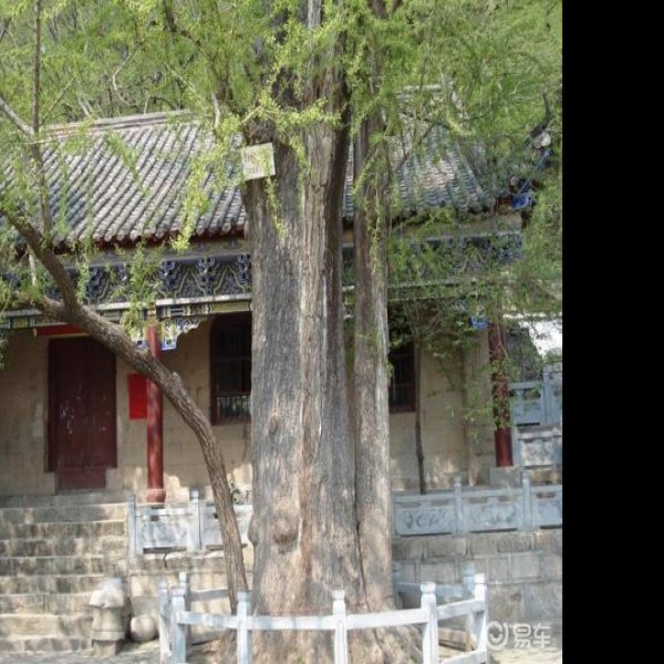 宿州皇藏峪 - 图片2