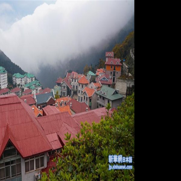 庐山牯岭镇 - 图片3