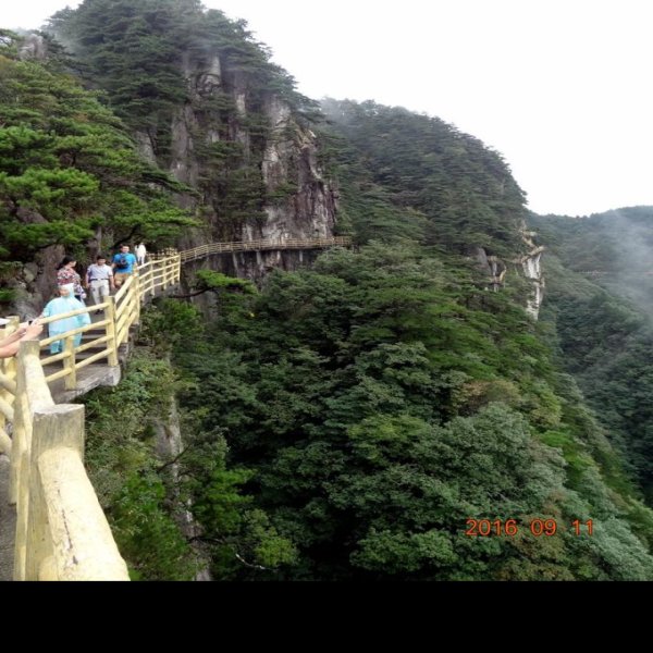 宜春明月山 - 图片7