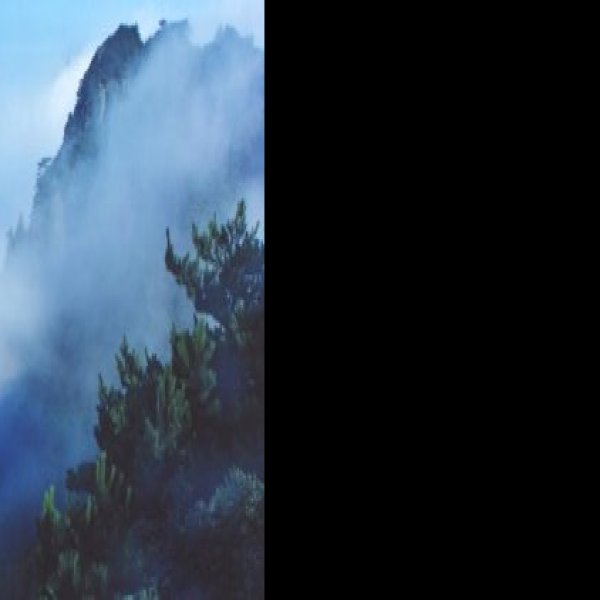 宜春明月山 - 图片8