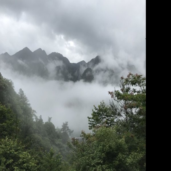 吉安井冈山 - 图片6