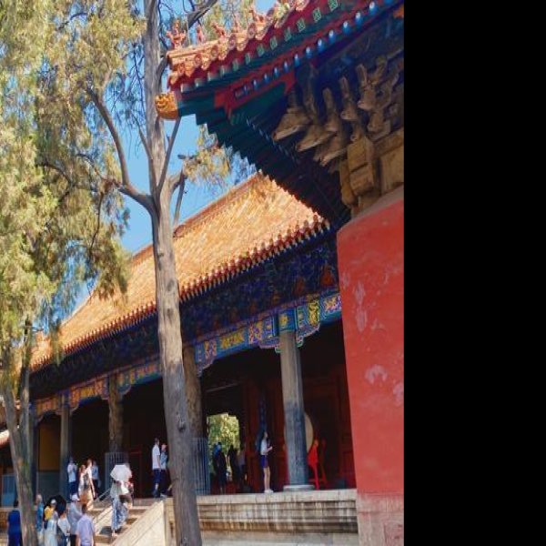 曲阜孔庙 - 图片7