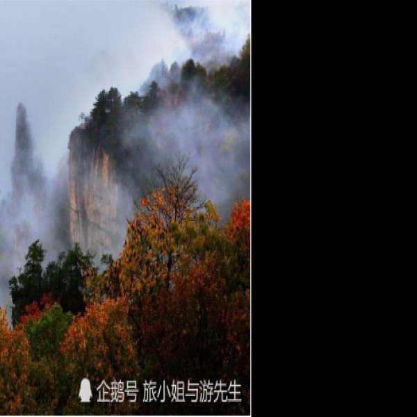 张家界武陵源 - 图片5