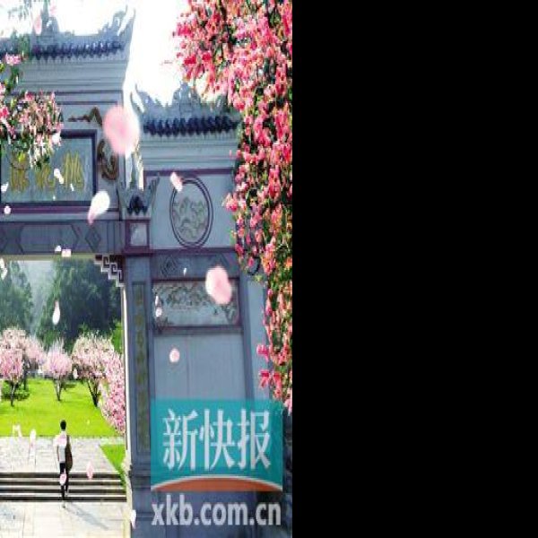 常德桃花源 - 图片10