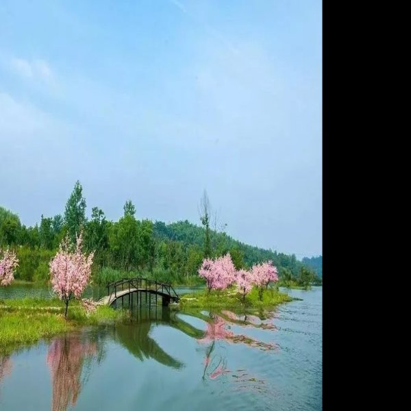 常德桃花源 - 图片9