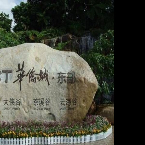 深圳东部华侨城 - 图片3