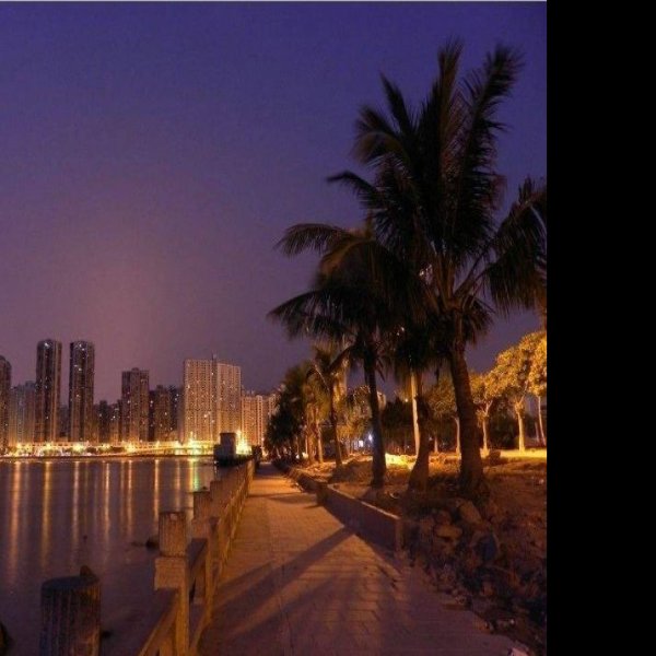 珠海情侣路 - 图片5
