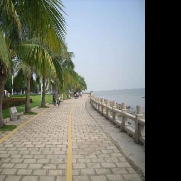 珠海情侣路 - 图片7