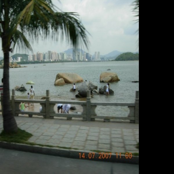 珠海情侣路 - 图片9