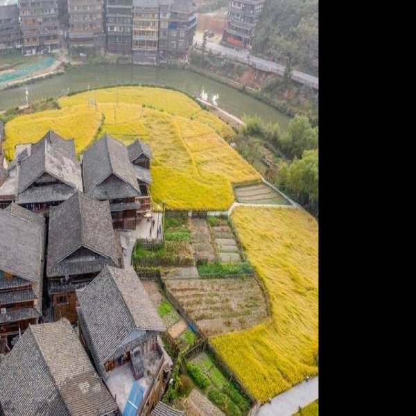 柳州程阳八寨 - 图片10