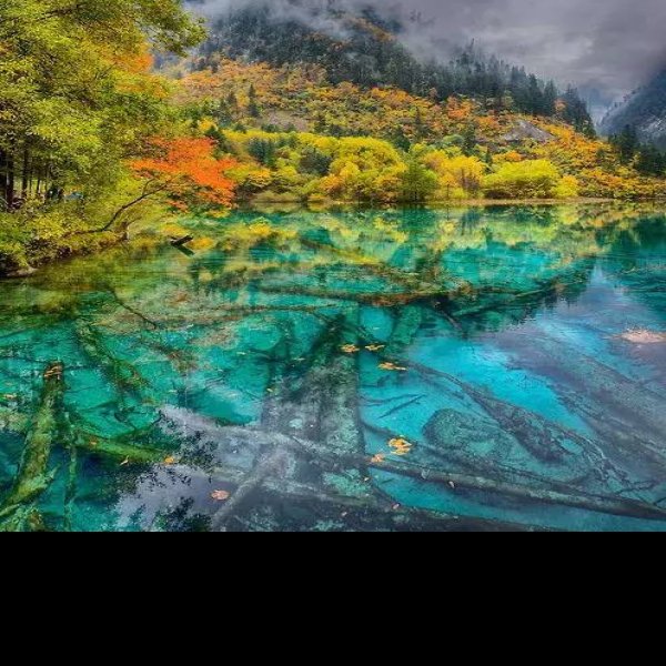 九寨沟 - 图片7