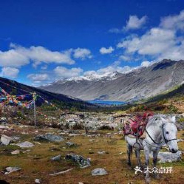 康定跑马山 - 图片8