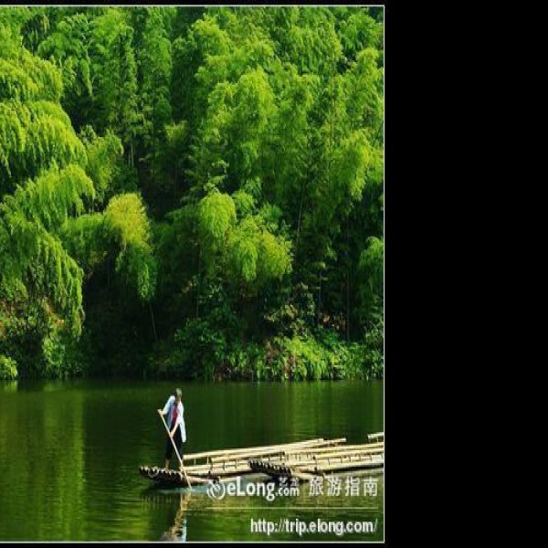 宜宾蜀南竹海 - 图片1