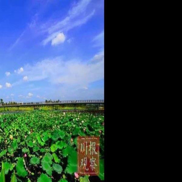 遂宁死海 - 图片9