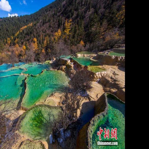 阿坝黄龙 - 图片1