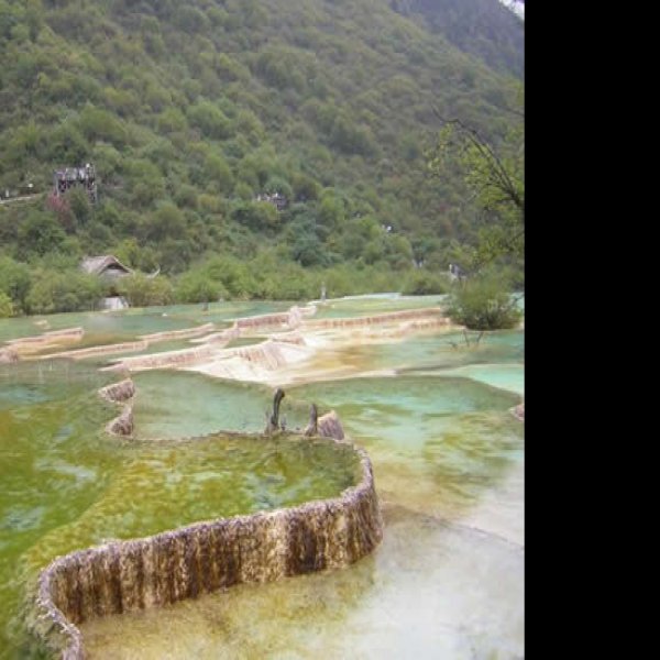 阿坝黄龙 - 图片6
