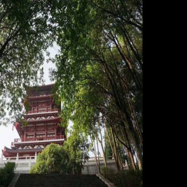 绵阳李白故里 - 图片3