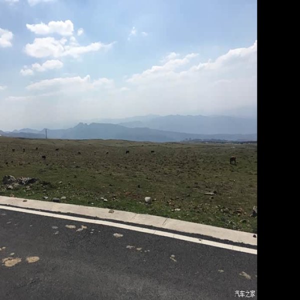 六盘水乌蒙山草原 - 图片4