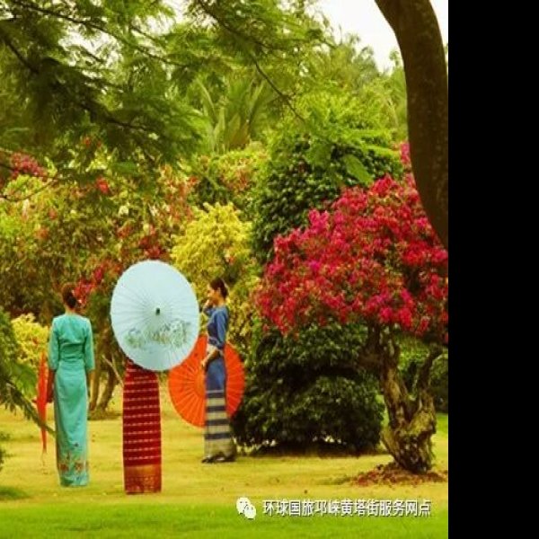 西双版纳热带花卉园 - 图片9