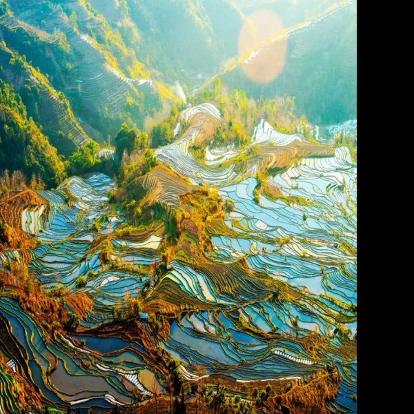 红河元阳梯田 - 图片3