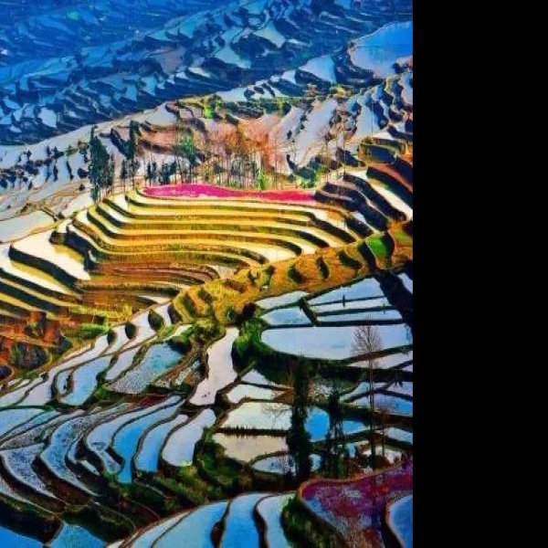 红河元阳梯田 - 图片7
