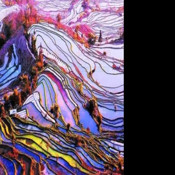 红河元阳梯田 - 图片8