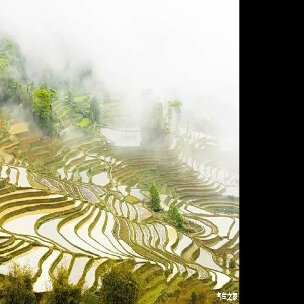 红河元阳梯田 - 图片9