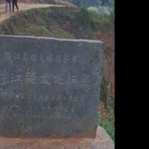 楚雄恐龙化石遗址 - 图片5