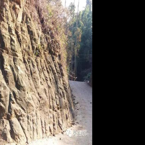 楚雄恐龙化石遗址 - 图片9