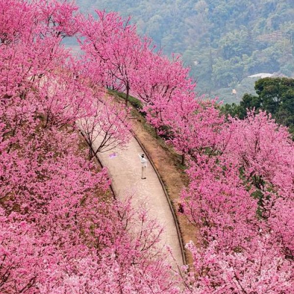 梅县灵光寺 - 图片3
