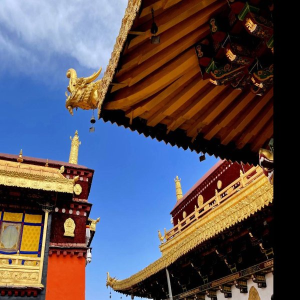 大昭寺 - 图片5