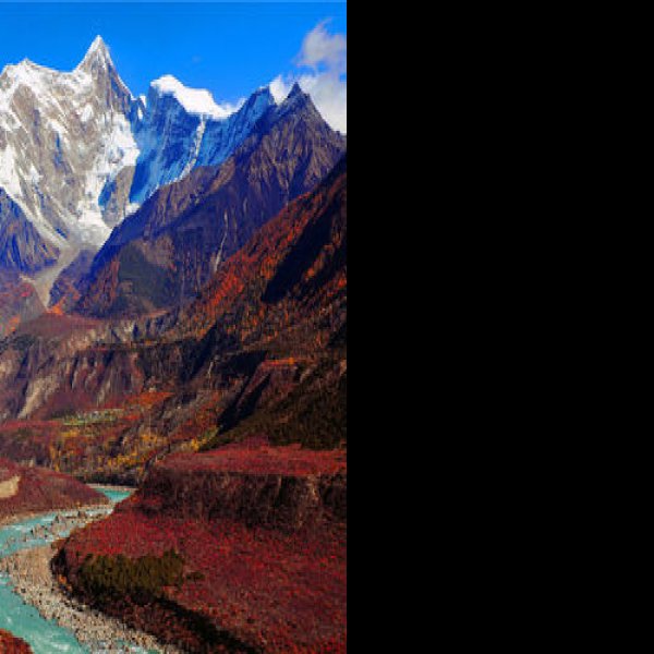 林芝雅鲁藏布大峡谷 - 图片10