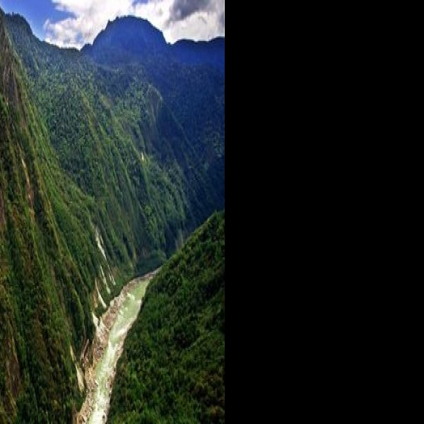 林芝雅鲁藏布大峡谷 - 图片3