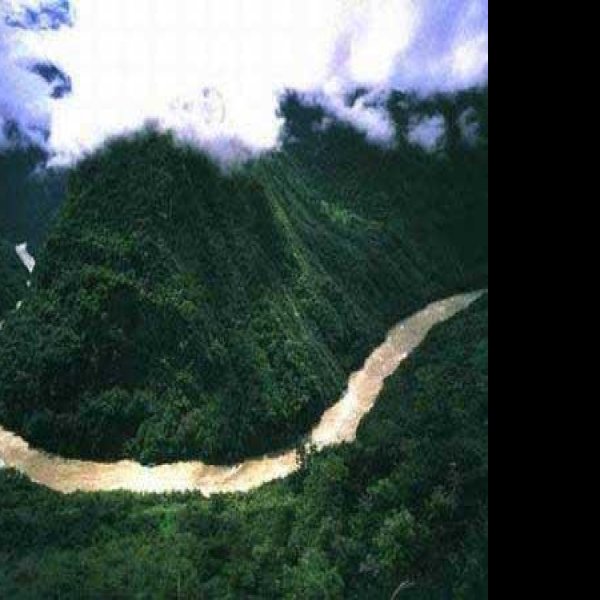 林芝雅鲁藏布大峡谷 - 图片5