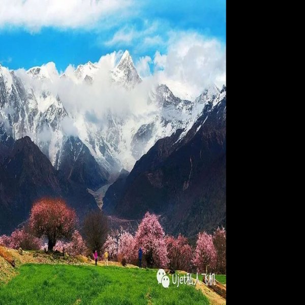 林芝雅鲁藏布大峡谷 - 图片8